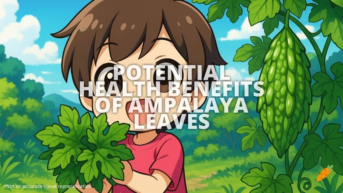 Health Benefits Of Ampalaya Leaves