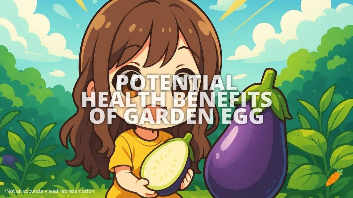 Health Benefits Of Garden Egg