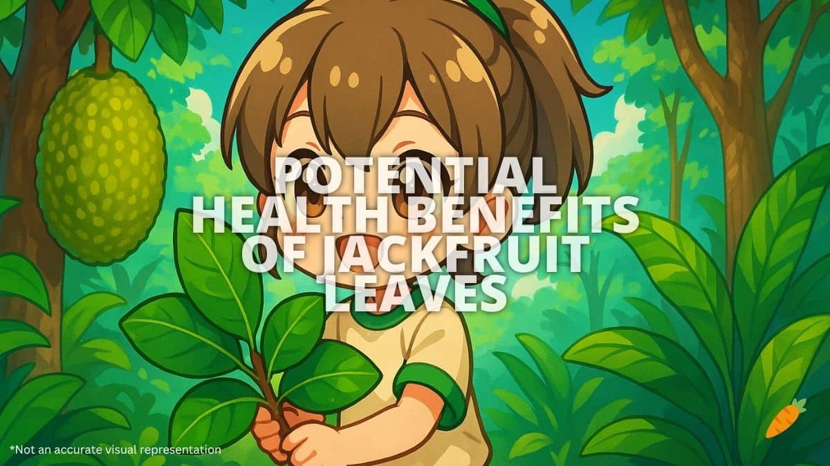 Health Benefits Of Jackfruit Leaves