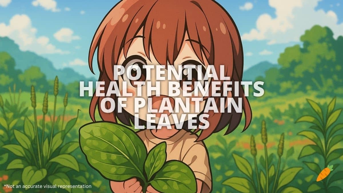 Health Benefits of Plantain Leaves