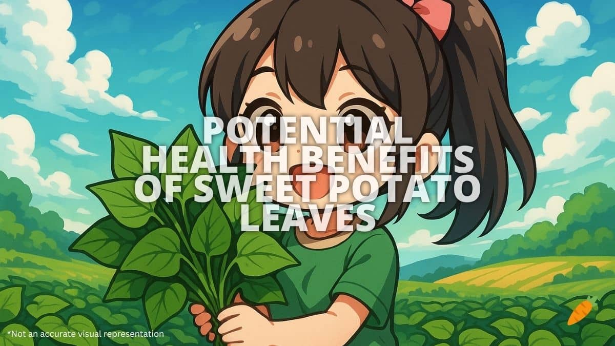 Health Benefits of Sweet Potato