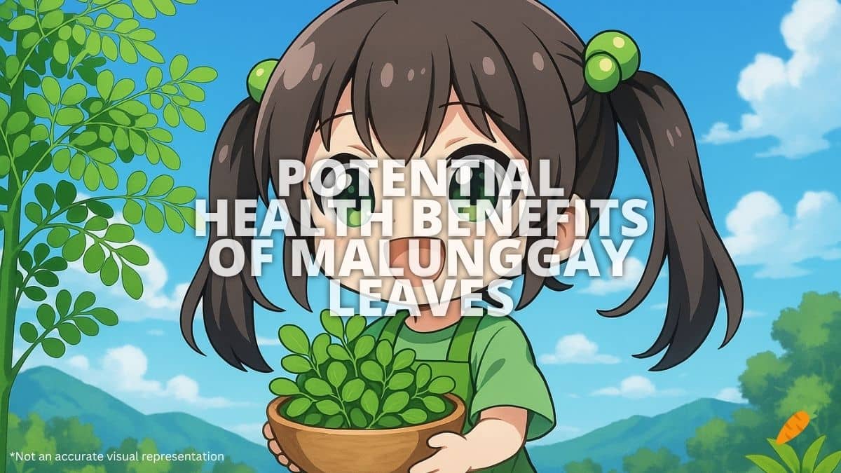 Health Benefits Of Malunggay Leaves