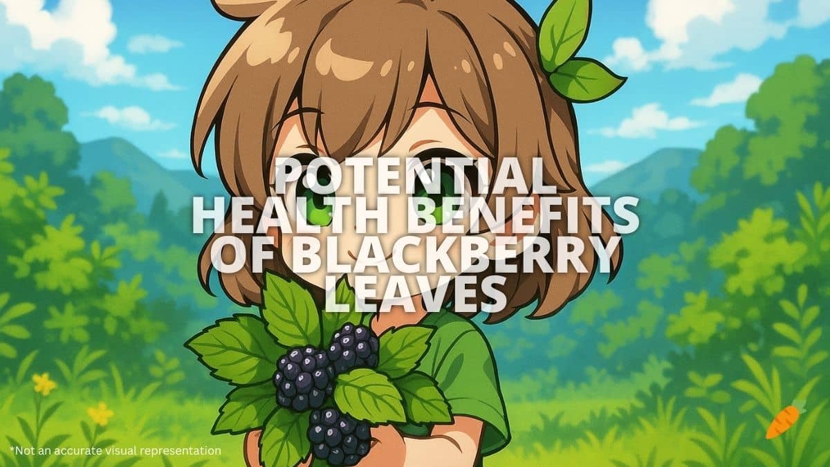 Health Benefits of Blackberry Leaves