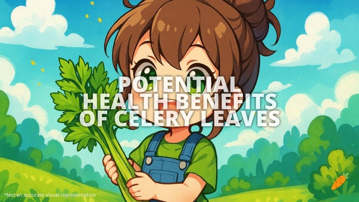 Health Benefits of Celery
