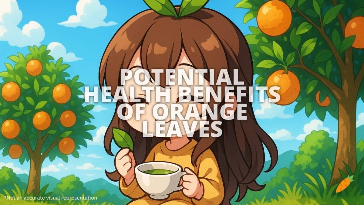 Health Benefits of Orange Leaves