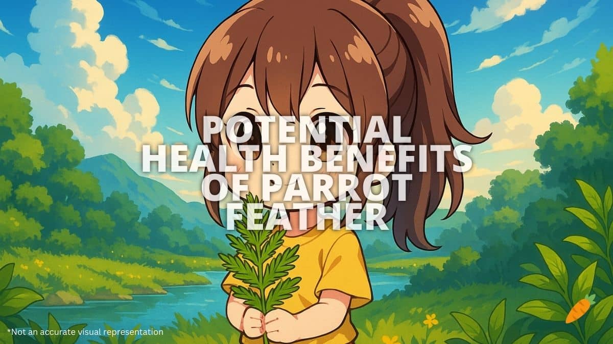 Health Benefits of Parrot Feather