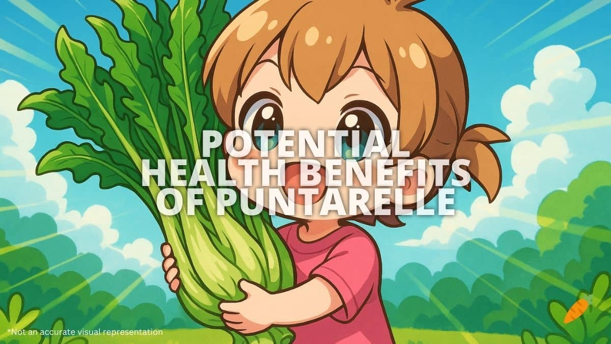 Health Benefits of Puntarelle