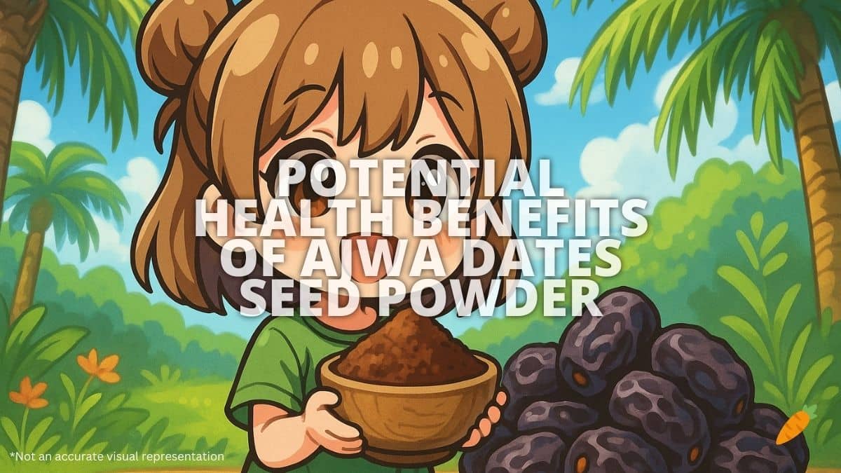 Health Benefits of Ajwa Dates Seed Powder