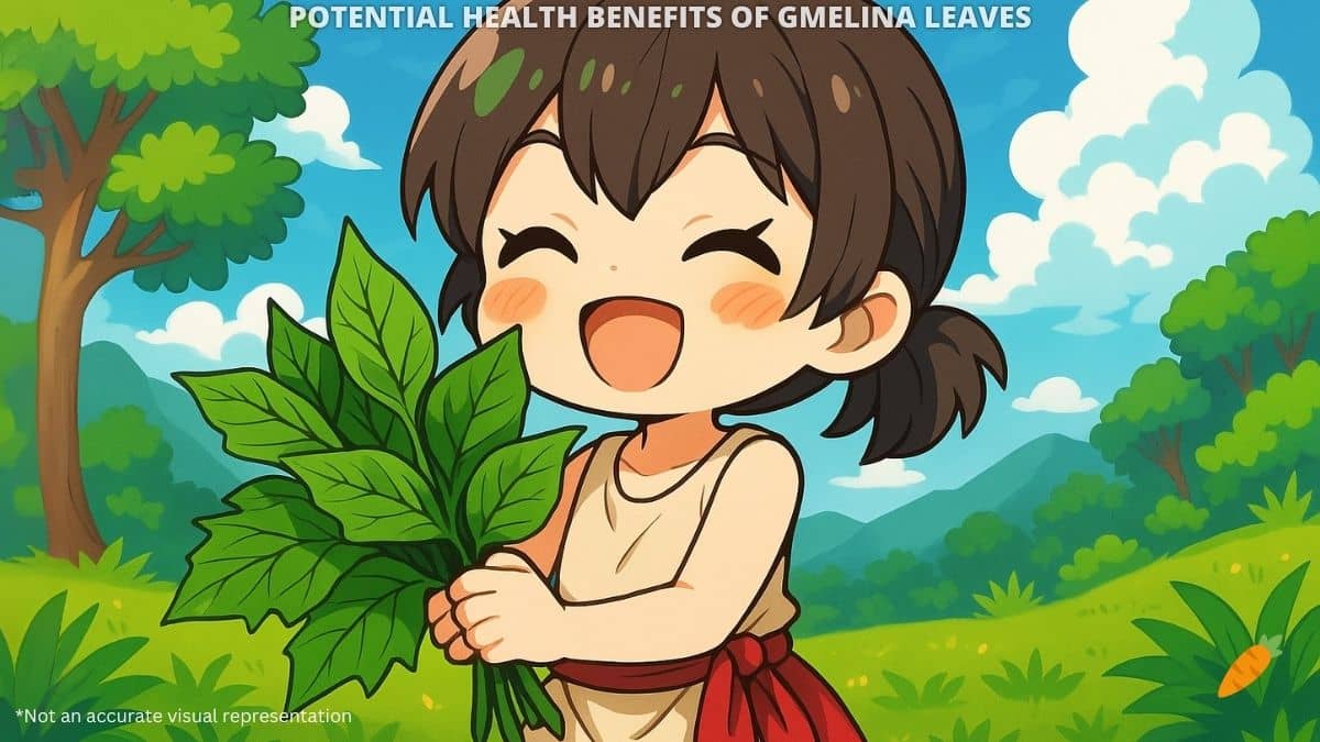 Health Benefits of Gmelina Leaves