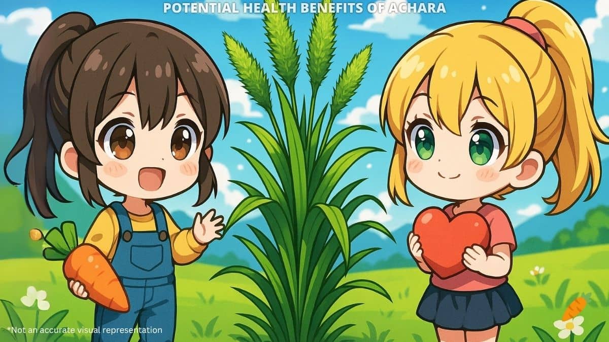 Health Benefits of Achara