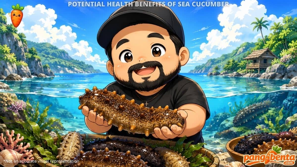 Potential Health Benefits of Sea Cucumber