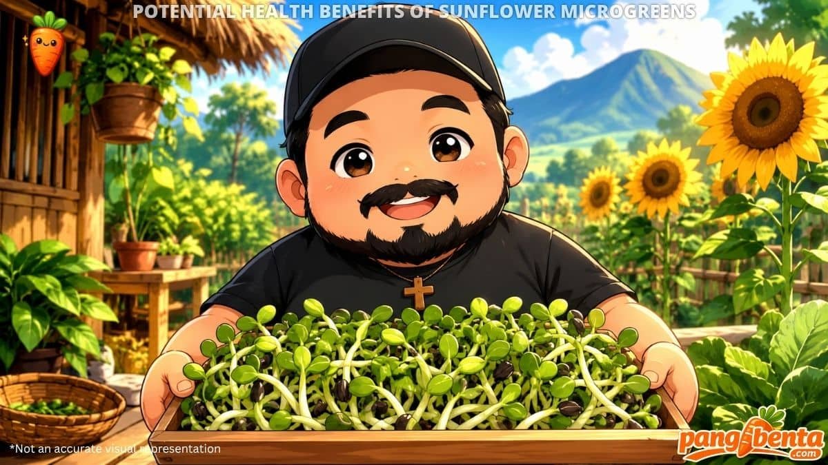 Possible Health Benefits of Sunflower Microgreens