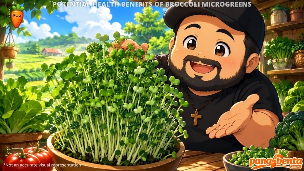 Possible Health Benefits of Broccoli Microgreens