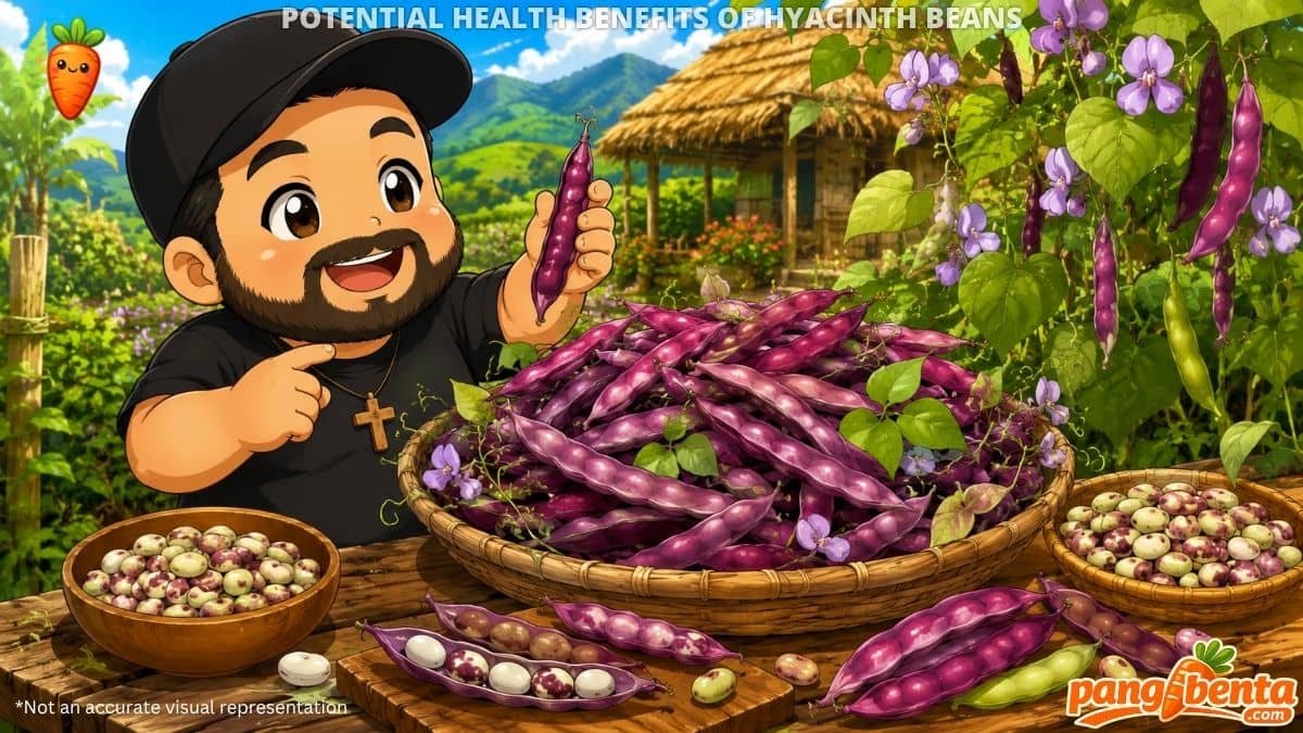 Potential Health Benefits of Hyacinth Beans