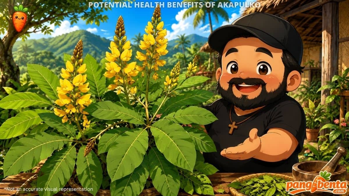 Likely Health Benefits of Akapulko