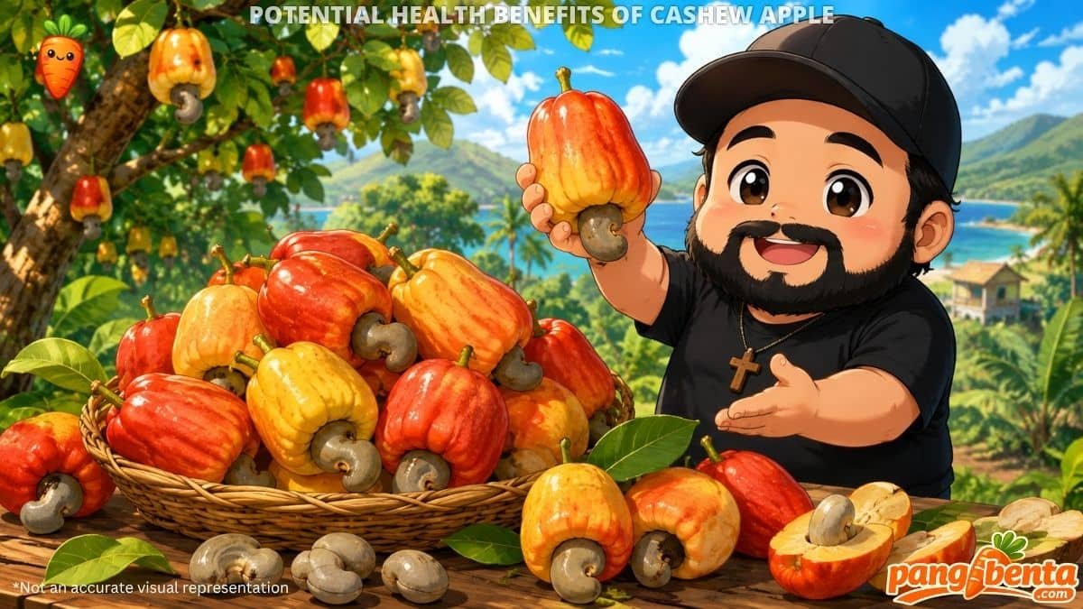 Possible Health Benefits of Cashew Apple