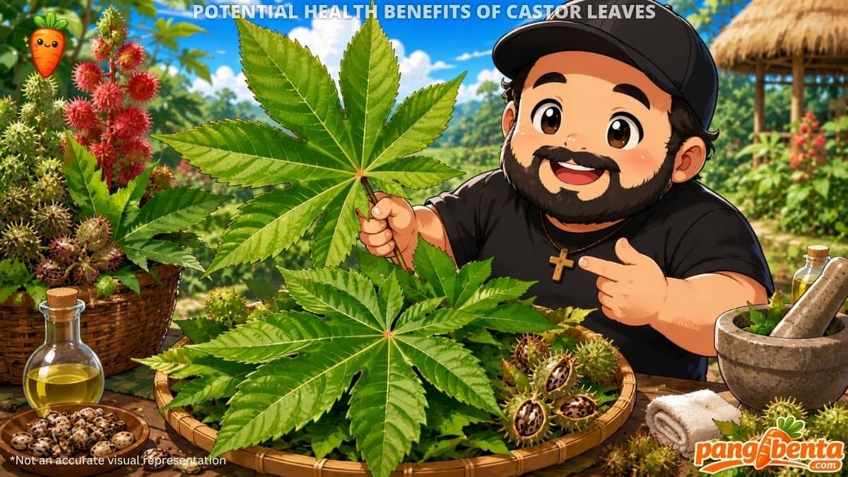 Possible Health Benefits of Castor Leaves
