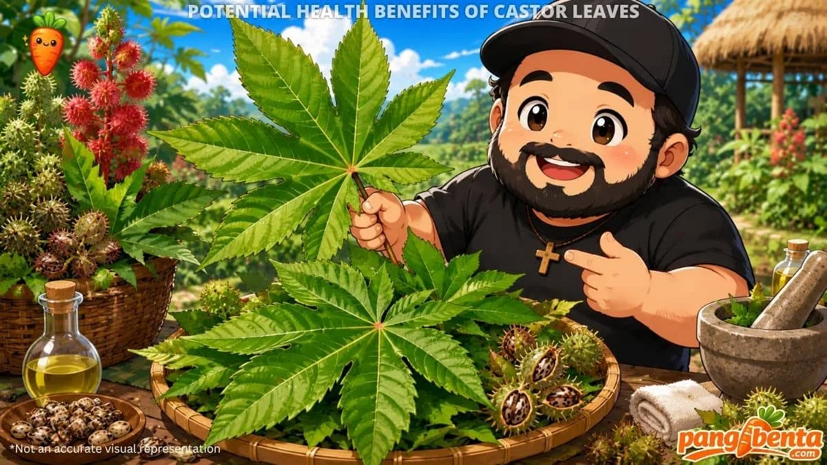 Possible Health Benefits of Castor Leaves