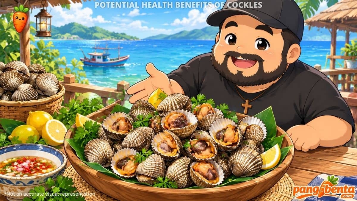 Possible Health Benefits of Cockles