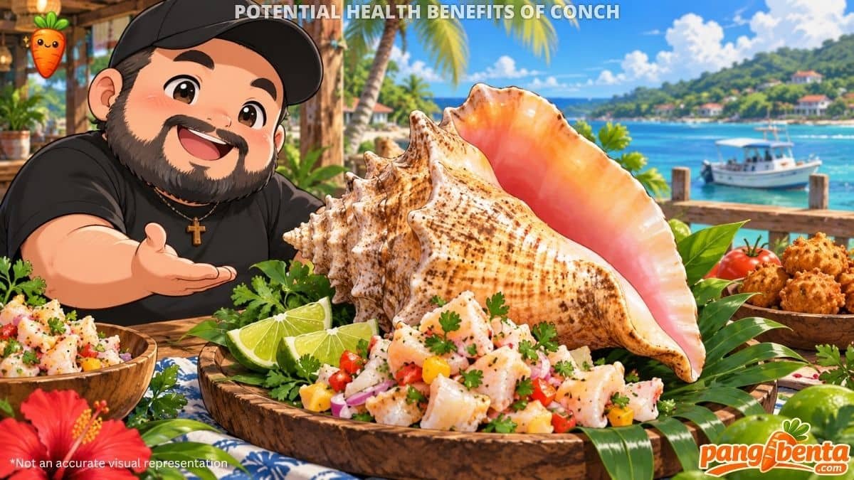 Possible Health Benefits of Conch