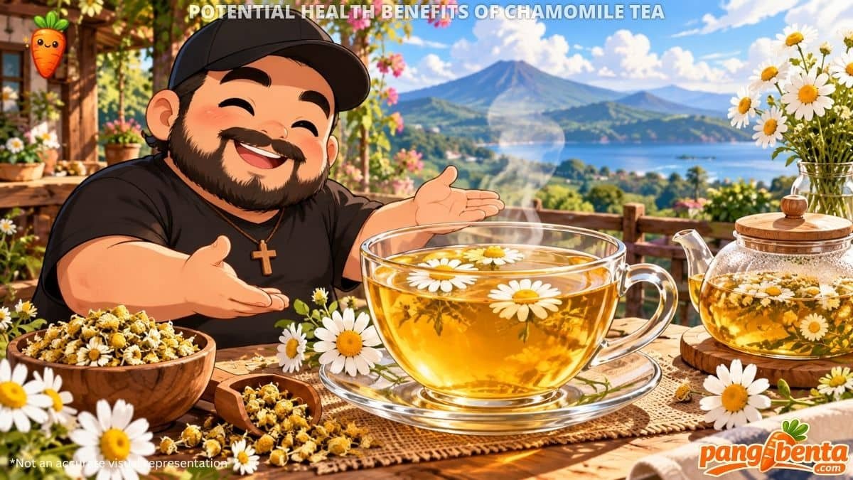 Potential Health Benefits of Chamomile Tea